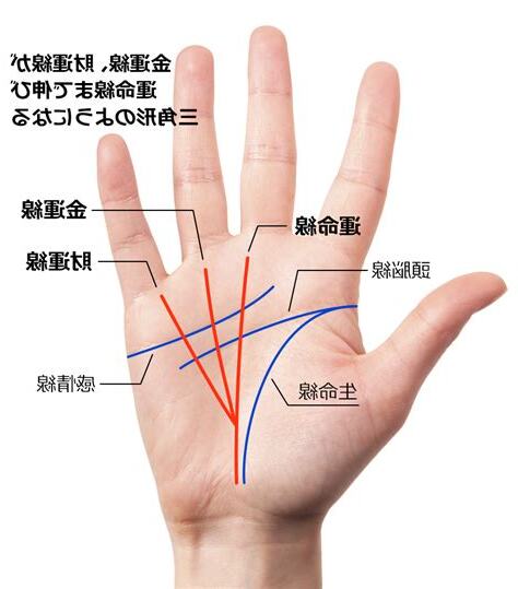 財運 線